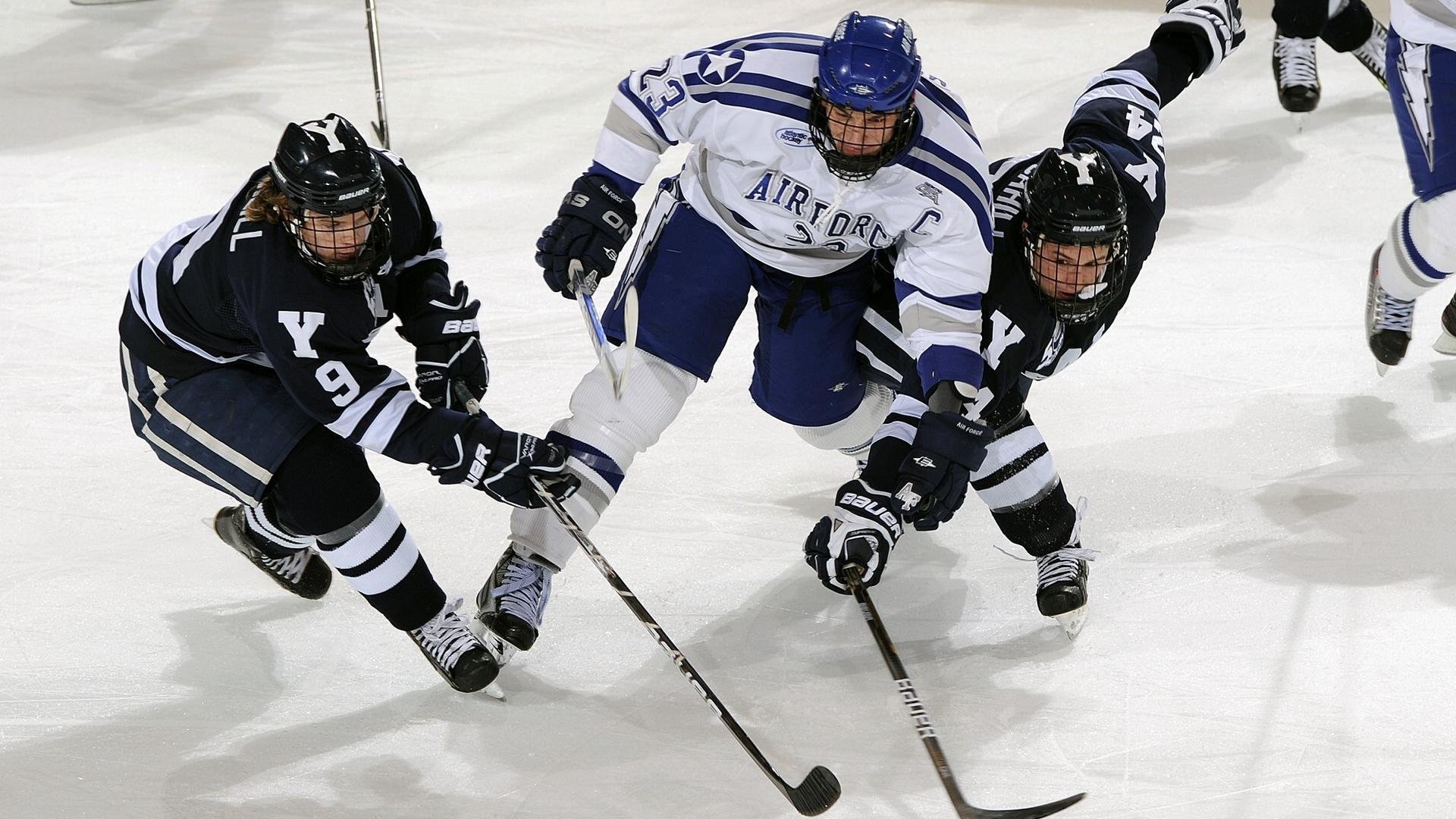 球队是否应推动绿色主场建设计划,绿色 球队